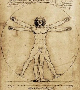 Resultado de imagem para antropologia